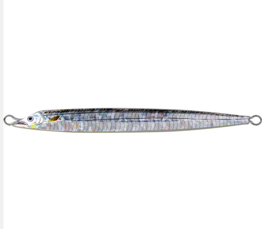 Sea Falcon Cutlassfish  Semi long.
