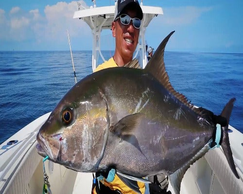 BKK  Reefmaster-NP Saltwater Jigging Assist Hook.